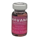 Ampolla Celulas Madres. Havana