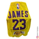 Capa Lebron James 23 - NBA