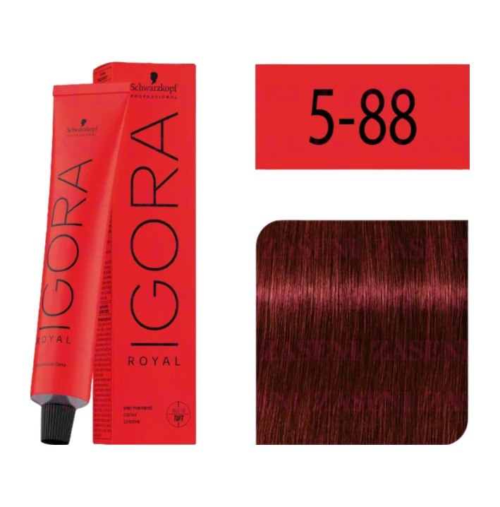 Igora Royal 5-88