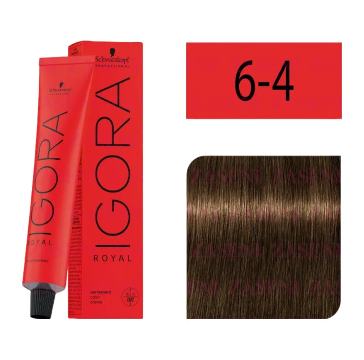 Igora Royal 6-4