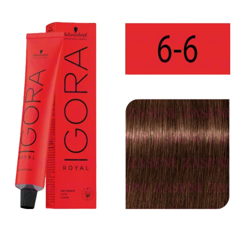 Igora Royal 6-6
