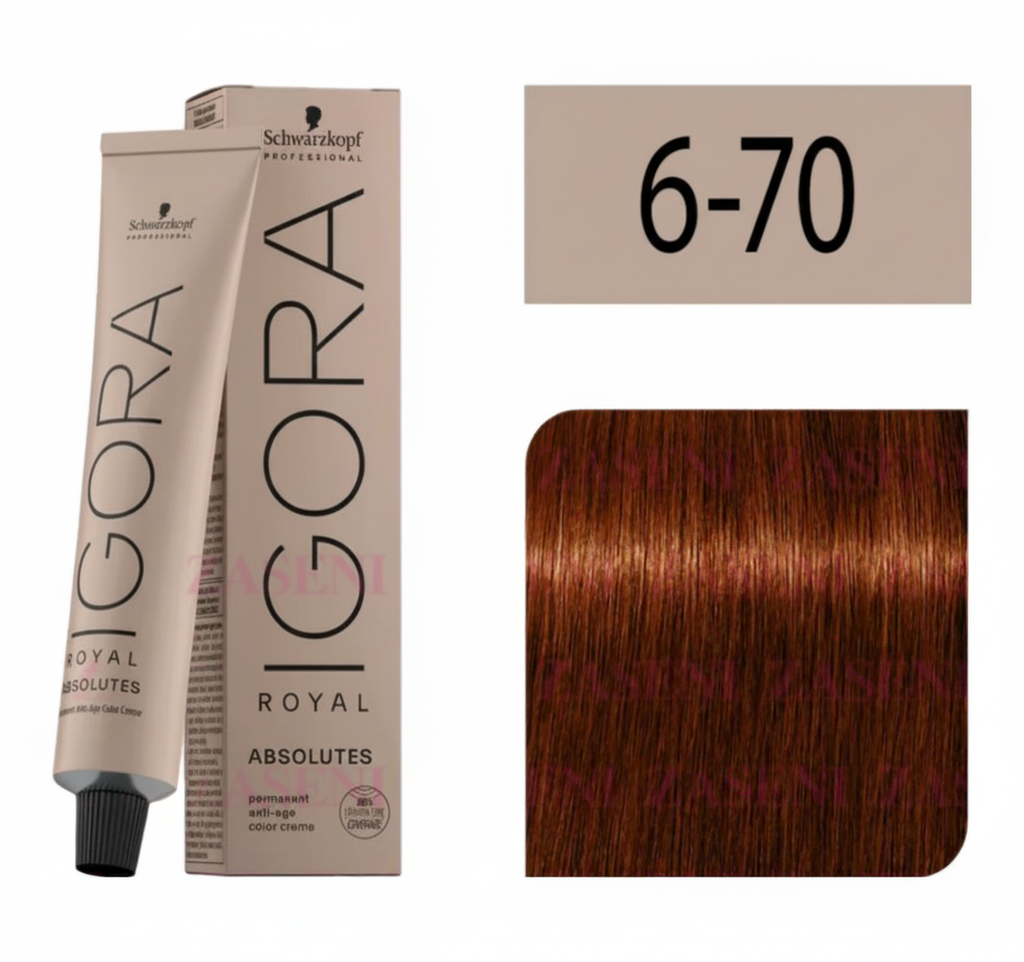 Igora Royal 6-70