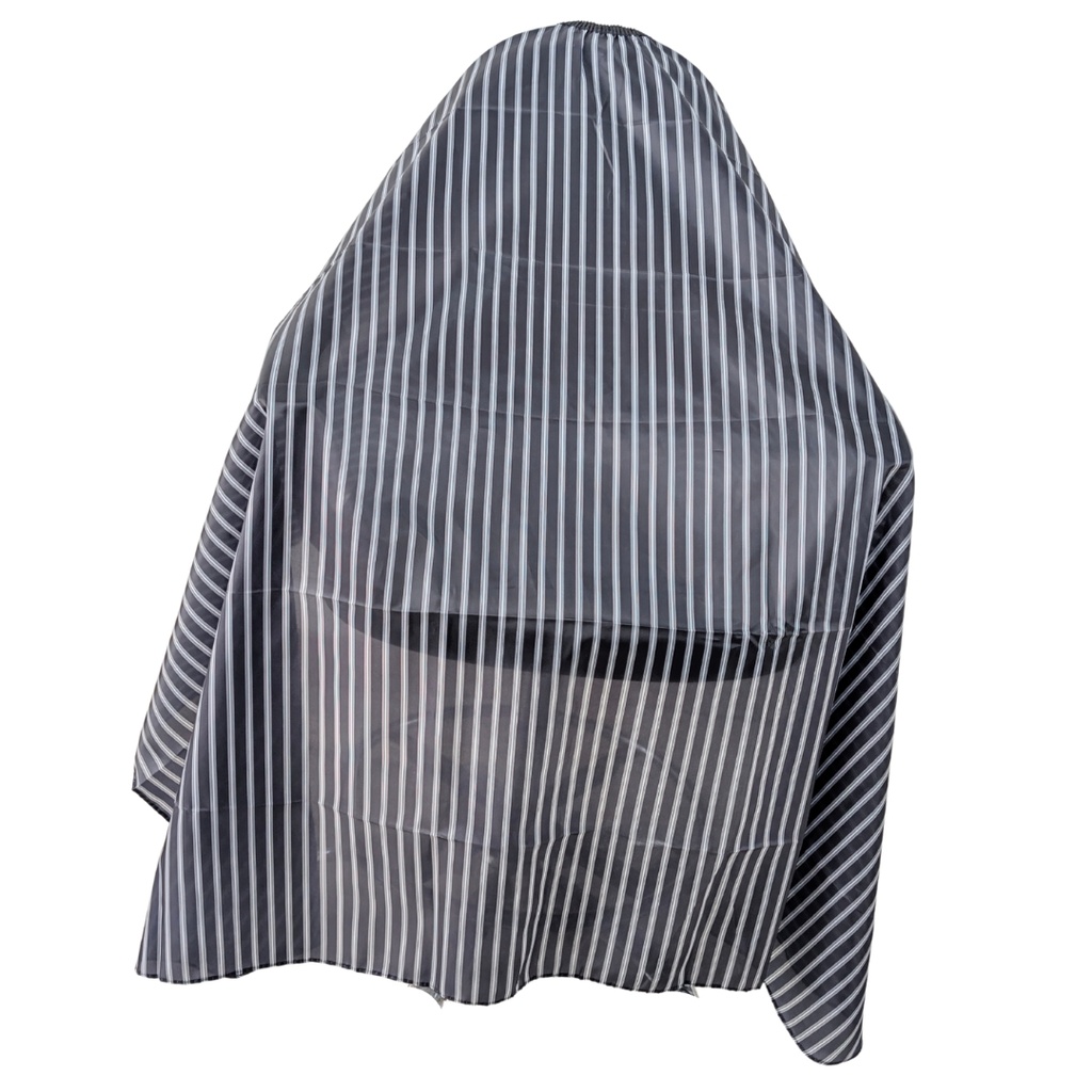 Capa económica 09413