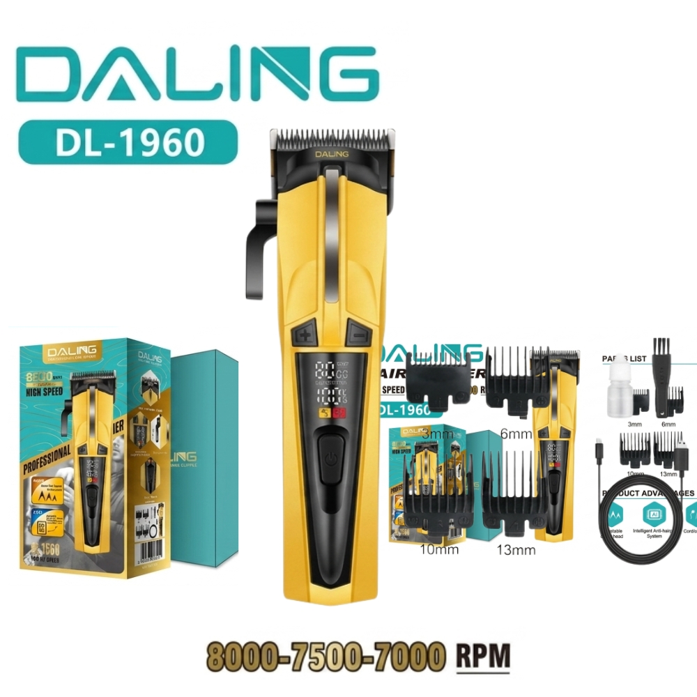 Daling DL-1960, Clipper
