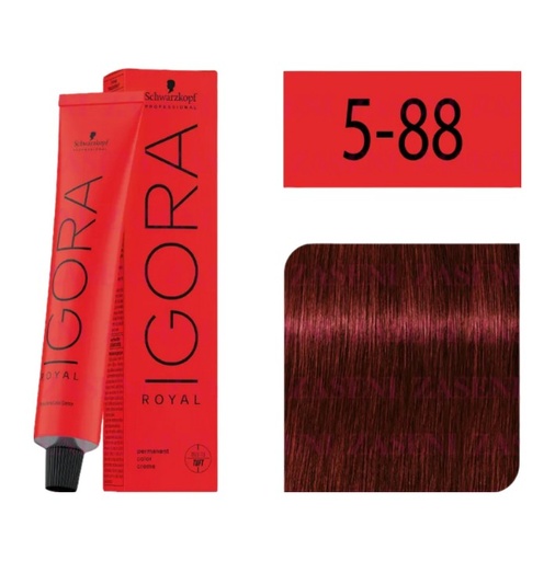 [ 5-88] Igora Royal 5-88