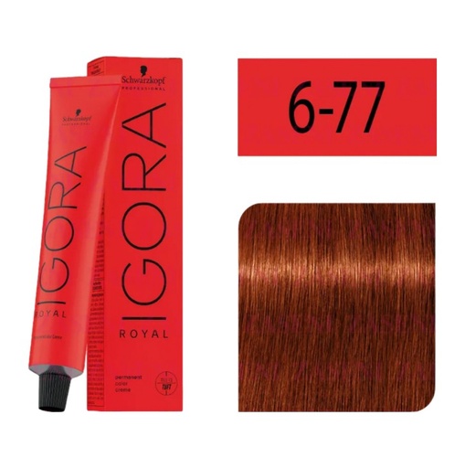 [ 6-77] Igora Royal 6-77