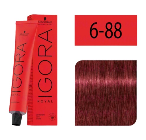[ 6-88] Igora Royal 6-88