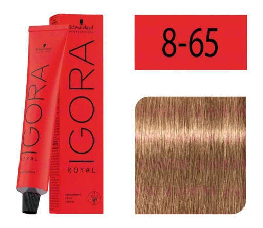 [ 8-65] Igora Royal 8-65