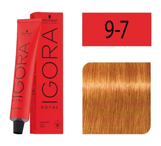 [9-7] Igora Royal 9-7