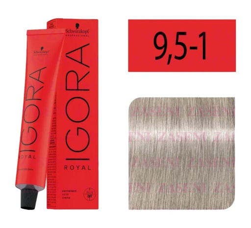 [9,5-1] Igora Royal 9,5-1